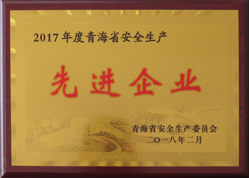 2017年度安全生產先進企業(yè)