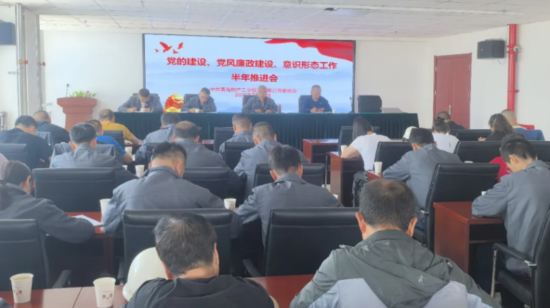 工投公司黨委召開黨的建設、黨風廉政建設、意識形態工作半年推進會